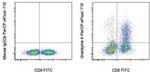 Granzyme A Antibody in Flow Cytometry (Flow)