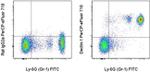 CD369 (Clec7a, Dectin-1) Antibody in Flow Cytometry (Flow)