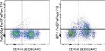 CD249 (BP-1) Antibody in Flow Cytometry (Flow)