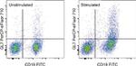 GL7 Antibody in Flow Cytometry (Flow)