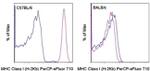 MHC Class I (H-2Kb) Antibody in Flow Cytometry (Flow)