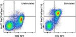 Nur77 Antibody in Flow Cytometry (Flow)