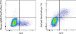 Staphylococcus aureus Cas9 Antibody in Flow Cytometry (Flow)