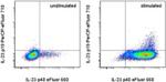 IL-23 p19 Antibody in Flow Cytometry (Flow)