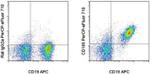 CD185 (CXCR5) Antibody in Flow Cytometry (Flow)