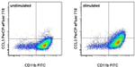 CCL3 (MIP-1 alpha) Antibody in Flow Cytometry (Flow)