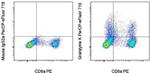 Granzyme K Antibody in Flow Cytometry (Flow)