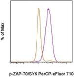 Phospho-ZAP70/Syk (Tyr319, Tyr352) Antibody in Flow Cytometry (Flow)