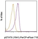 Phospho-STAT6 (Tyr641) Antibody in Flow Cytometry (Flow)