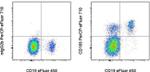 CD185 (CXCR5) Antibody in Flow Cytometry (Flow)