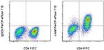 c-MAF Antibody in Flow Cytometry (Flow)