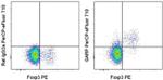 GARP Antibody in Flow Cytometry (Flow)