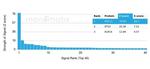 L-Myc/MYCL1 (Transcription Factor) Antibody in Peptide array (ARRAY)