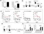 CD48 Antibody in Flow Cytometry (Flow)