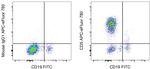 CD5 Antibody in Flow Cytometry (Flow)