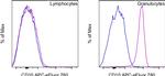 CD10 Antibody in Flow Cytometry (Flow)