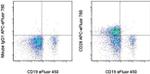 CD28 Antibody in Flow Cytometry (Flow)