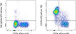 CD38 Antibody in Flow Cytometry (Flow)