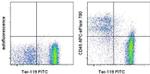 CD45 Antibody in Flow Cytometry (Flow)