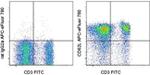 CD62L (L-Selectin) Antibody in Flow Cytometry (Flow)