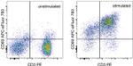 CD69 Antibody in Flow Cytometry (Flow)