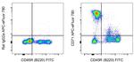 CD71 (Transferrin Receptor) Antibody in Flow Cytometry (Flow)