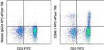 CD90.1 (Thy-1.1) Antibody in Flow Cytometry (Flow)