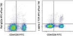 TCR V alpha 2 Antibody in Flow Cytometry (Flow)