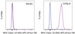 MHC Class I (H-2Kb) Antibody in Flow Cytometry (Flow)