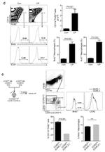 CD45.1 Antibody in Flow Cytometry (Flow)