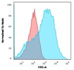 Phospho-NF-H Antibody in Flow Cytometry (Flow)