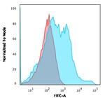 Neurofilament Antibody in Flow Cytometry (Flow)