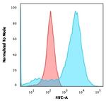 Neurofilament (NF-L) (Neuronal Marker) Antibody in Flow Cytometry (Flow)