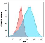 Neurofilament (NF-L) (Neuronal Marker) Antibody in Flow Cytometry (Flow)