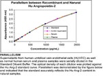 Human Angiopoietin 2 ELISA Kit