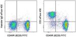 CD3e Antibody in Flow Cytometry (Flow)