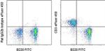 CD3 Antibody in Flow Cytometry (Flow)