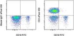 CD3 Antibody in Flow Cytometry (Flow)