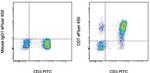 CD7 Antibody in Flow Cytometry (Flow)