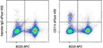 CD11c Antibody in Flow Cytometry (Flow)