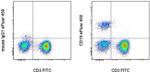 CD19 Antibody in Flow Cytometry (Flow)