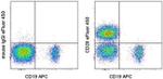 CD28 Antibody in Flow Cytometry (Flow)