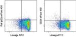 CD34 Antibody in Flow Cytometry (Flow)