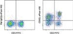 CD62L (L-Selectin) Antibody in Flow Cytometry (Flow)