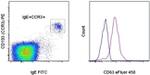 CD63 Antibody in Flow Cytometry (Flow)