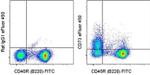 CD73 Antibody in Flow Cytometry (Flow)