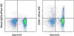 CD90.1 (Thy-1.1) Antibody in Flow Cytometry (Flow)