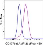 CD107b (LAMP-2) Antibody in Flow Cytometry (Flow)