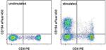 CD154 (CD40 Ligand) Antibody in Flow Cytometry (Flow)