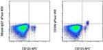 CD304 (Neuropilin-1) Antibody in Flow Cytometry (Flow)